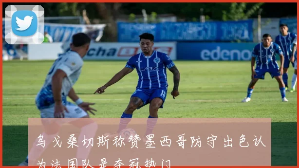 乌戈桑切斯称赞墨西哥防守出色认为法国队是夺冠热门