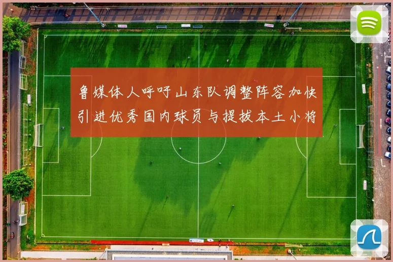 鲁媒体人呼吁山东队调整阵容加快引进优秀国内球员与提拔本土小将